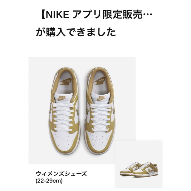 NIKE(ナイキ)のNIKE WMNS Dunk Low ダンク ロー ペイズリー 29cm メンズの靴/シューズ(スニーカー)の商品写真