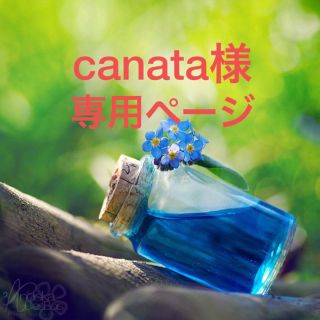 canata様専用ページ(ドライフラワー)