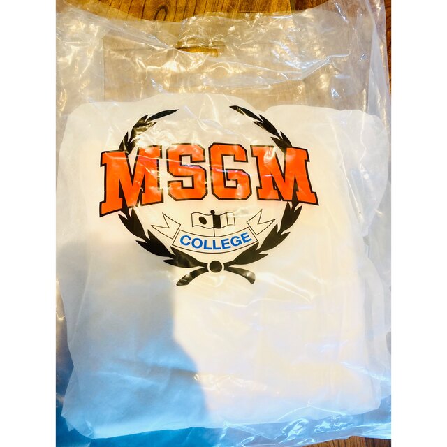 MSGM(エムエスジイエム)のMSGM パーカー　上品ロゴ　フード付き レディースのトップス(パーカー)の商品写真