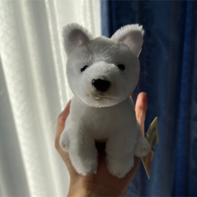 ハッピーパピーコレクション　白い 犬　小さなぬいぐるみ エンタメ/ホビーのおもちゃ/ぬいぐるみ(ぬいぐるみ)の商品写真