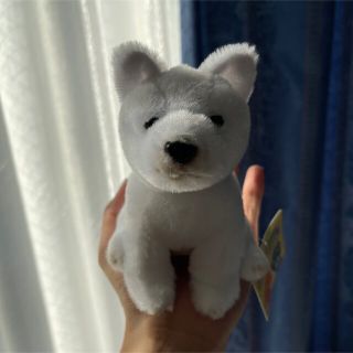 ハッピーパピーコレクション　白い 犬　小さなぬいぐるみ(ぬいぐるみ)