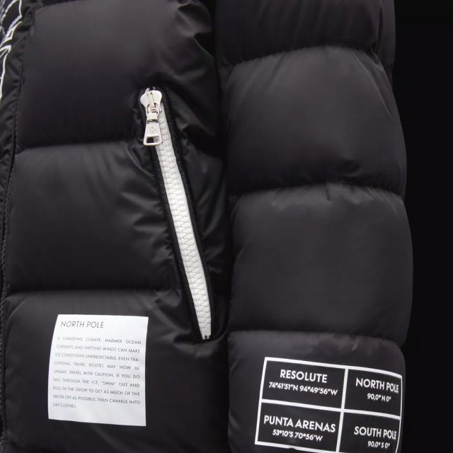 MONCLER(モンクレール)の●新品/正規品● MONCLER Larm 袖ロゴ フード ダウンジャ メンズのジャケット/アウター(ダウンジャケット)の商品写真