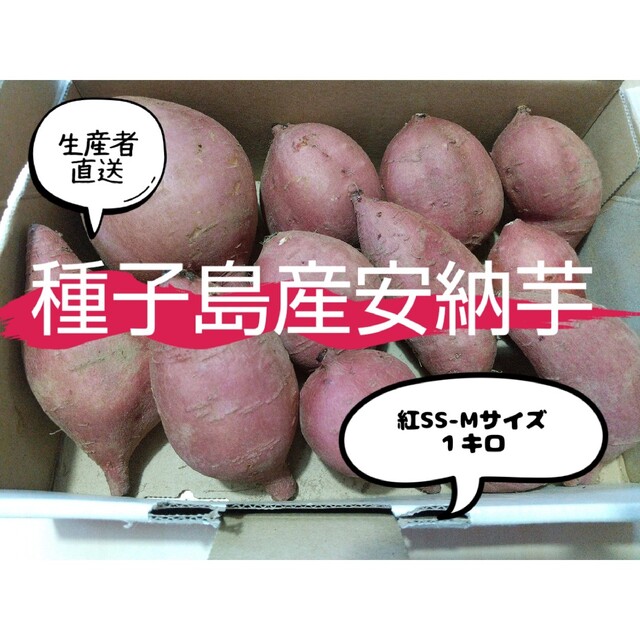 種子島産安納芋紅 食品/飲料/酒の食品(野菜)の商品写真