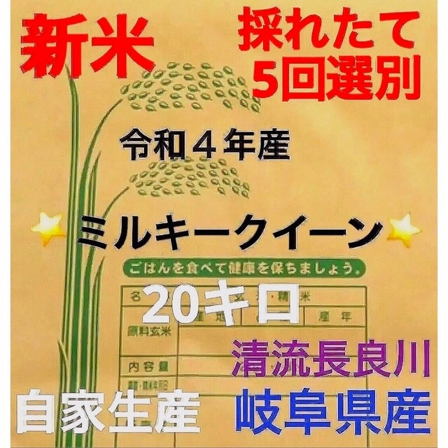 ✳️令和4年産✳️新米・採れたてミルキークイーン100%5回選別20キロ10キロ