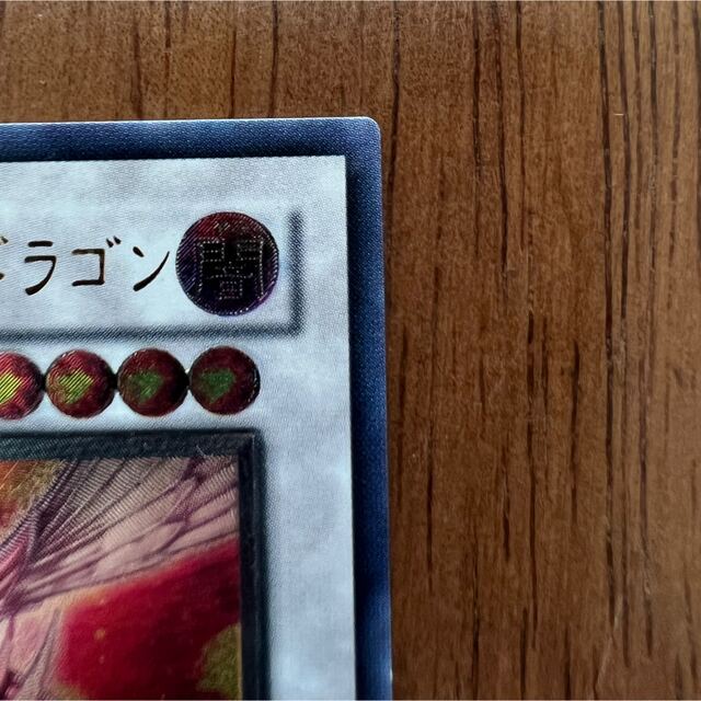 遊戯王(ユウギオウ)の遊戯王 セイヴァーデモンドラゴン レリーフ エンタメ/ホビーのトレーディングカード(シングルカード)の商品写真