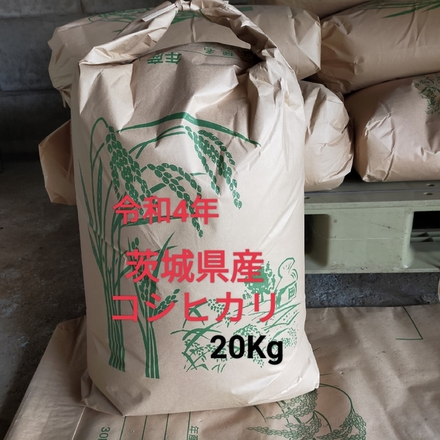 令和4年 茨城県産コシヒカリ 玄米 20Kg - 米/穀物