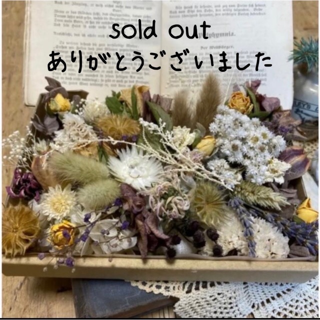 ドライフラワー花材set♡アンティーク風ナチュラル - www ドライフラワー花材set♡アンティーク風ナチュラル - www