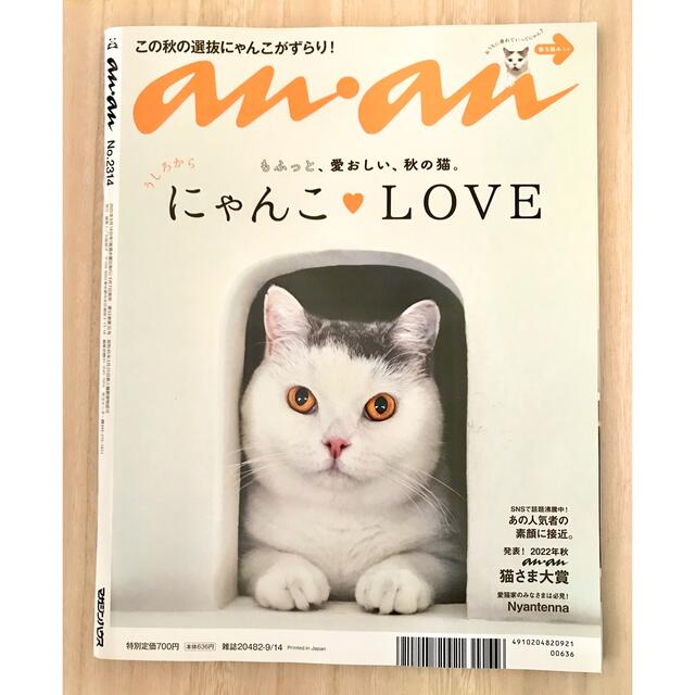 抜け無し　anan 2314 アンアン 佐藤勝利 エンタメ/ホビーの雑誌(アート/エンタメ/ホビー)の商品写真