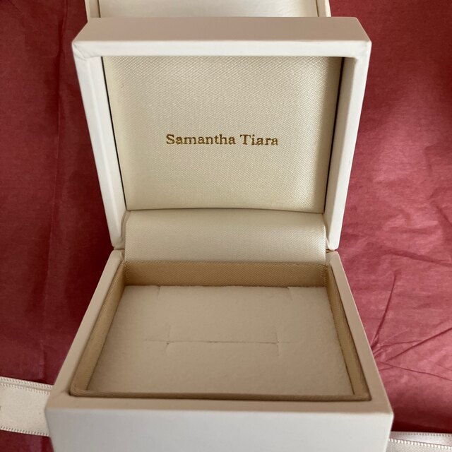 Samantha Tiara(サマンサティアラ)のSamantha Tiara  小物入れ レディースのバッグ(ショップ袋)の商品写真