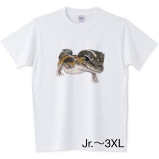 プリントスター(Printstar)のニシアフリカトカゲモドキ Tシャツ ヒョウモントカゲモドキ 爬虫類 レオパ 生物(Tシャツ/カットソー(半袖/袖なし))