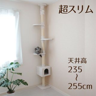 スリム おしゃれ 省スペース スリムタイプ シンプル キャット用品 681(猫)