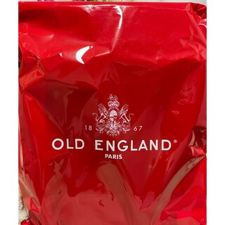 オールドイングランド(OLD ENGLAND)の✨雑誌付録 OLD ENGLAND スクエア型 エレガントリュック🧰✨(リュック/バックパック)