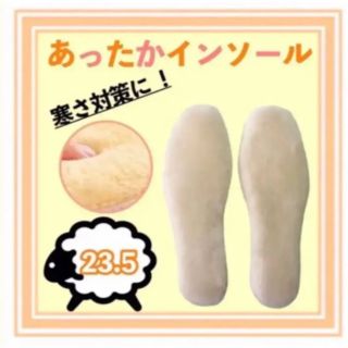 あったかインソール23.5センチ(ベージュ)(その他)