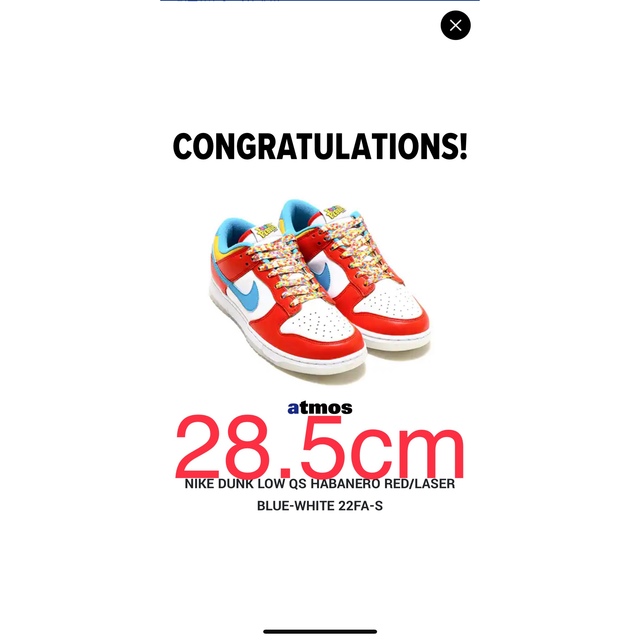 NIKE(ナイキ)のFRUiTY PEBBLES™ × Nike Dunk Low QS 28.5 メンズの靴/シューズ(スニーカー)の商品写真