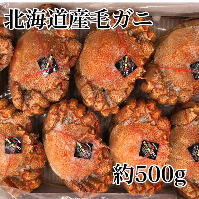 北海道産ボイル毛ガニ500g×2尾　魚介