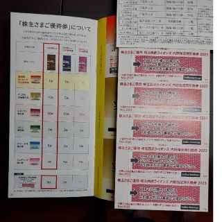 セイブヒャッカテン(西武百貨店)の西武ホールディングス株主優待1000株分(その他)