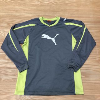 プーマ(PUMA)のPUMA プーマ　トレーニングウェア  140サイズ(Tシャツ/カットソー)