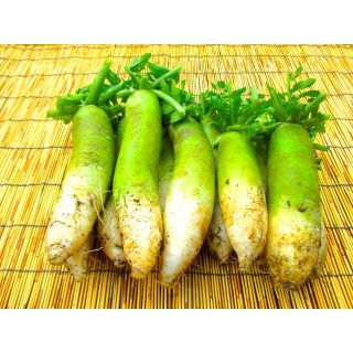 信州産　ビタミン大根４kg  (野菜)