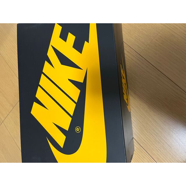 NIKE  JORDAN1 パラン 6