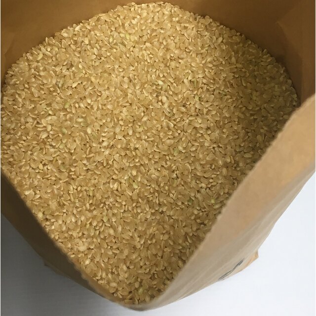 shoQ様専用 新米 無農薬コシヒカリ玄米20kg(5kg×4)、焼き海苔150