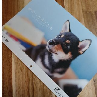 ソニー(SONY)の2023年　カレンダー　子犬　ソニー生命　非売品(カレンダー/スケジュール)