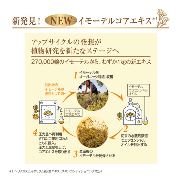 L'OCCITANE(ロクシタン)の【risuko様専用ページ】ロクシタン　イモーテル  コスメ/美容のスキンケア/基礎化粧品(ブースター/導入液)の商品写真