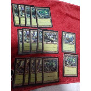 マジックザギャザリング(マジック：ザ・ギャザリング)のmtg　森(USG)17枚まとめ売り(シングルカード)