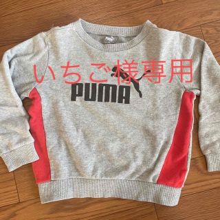 プーマ(PUMA)のPUMA トレーナー 120(その他)