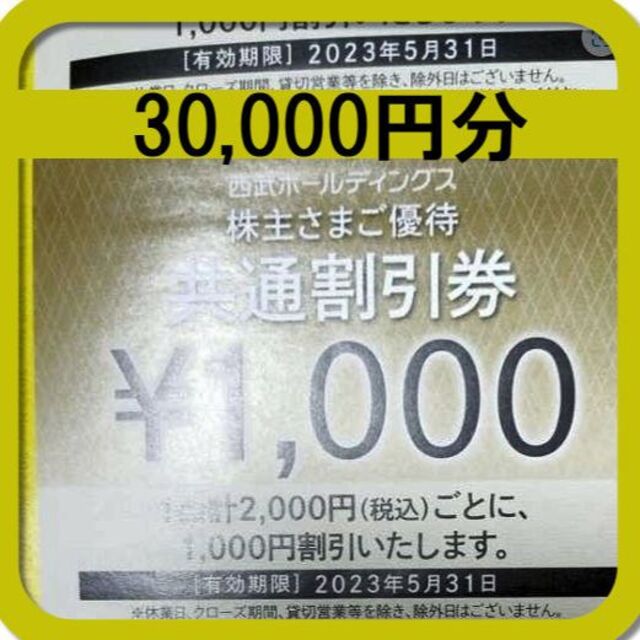 ショッピングアルペン 株主優待 30000円分 - ショッピング