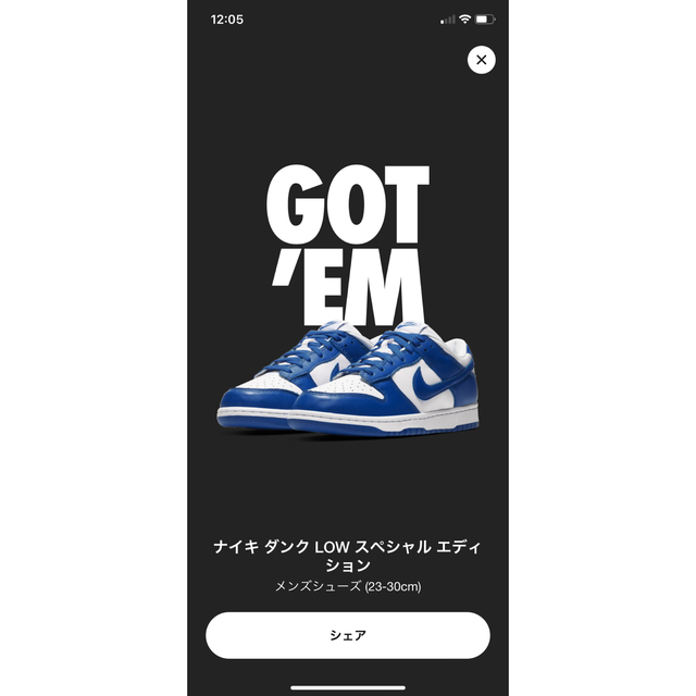 靴/シューズNike Dunk Low SP Varsity Royal 28cm