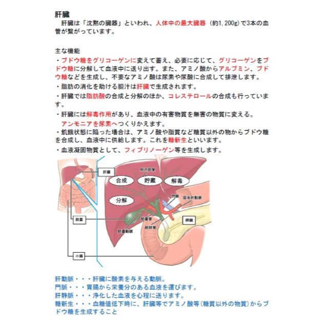 ●第1種衛生管理者　(スマホ学習データ付き）