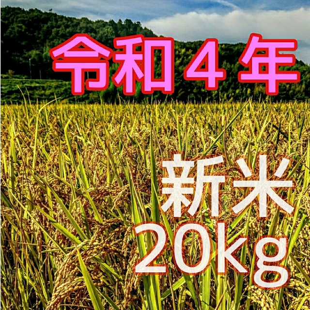 令和5年度　20㎏　新米【湧き水栽培】農薬不使用玄米　ひとめぼれ