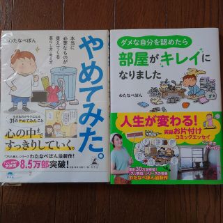 ダメな自分を認めたら部屋がキレイになりました(その他)