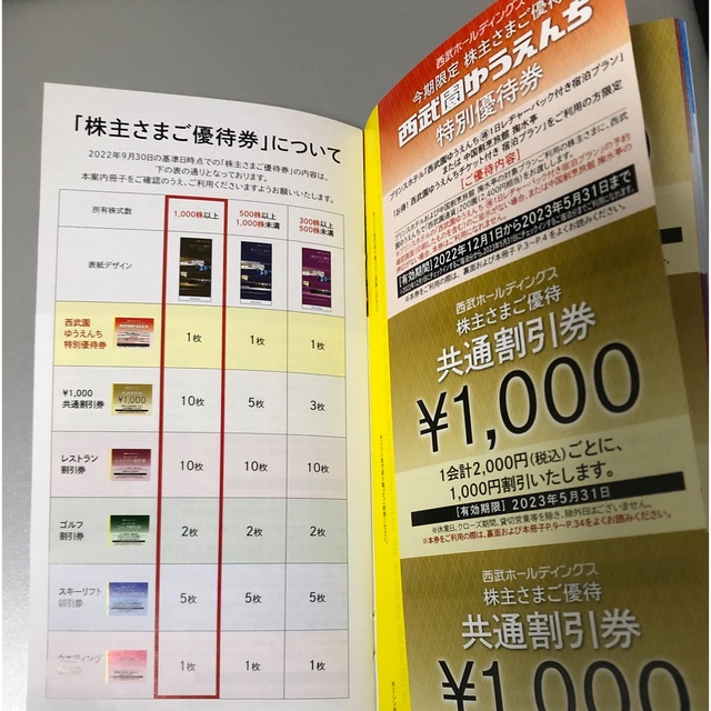 施設利用券西武株主優待共通割引券　10枚