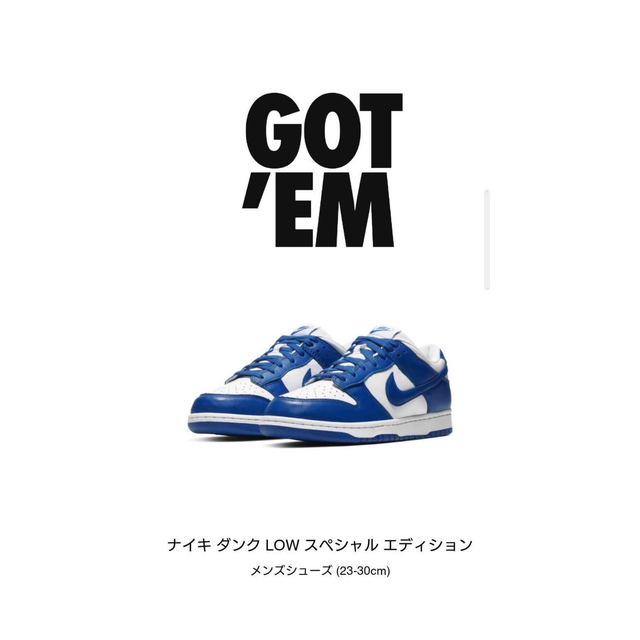 NIKE DUNK LOW ヘリンボーン