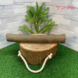 樫の木 持ち手付きコンパクト薪割り台 バトニング棒セット(テーブル/チェア)