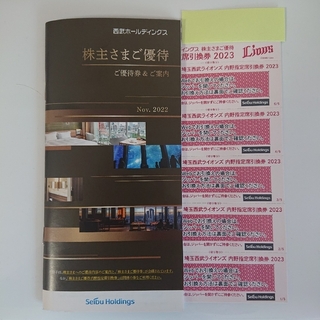 西武ホールディングス内野指定席引換券他優待冊子