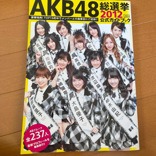 講談社(コウダンシャ)のAKB48総選挙2012公式ガイドブック エンタメ/ホビーのタレントグッズ(アイドルグッズ)の商品写真