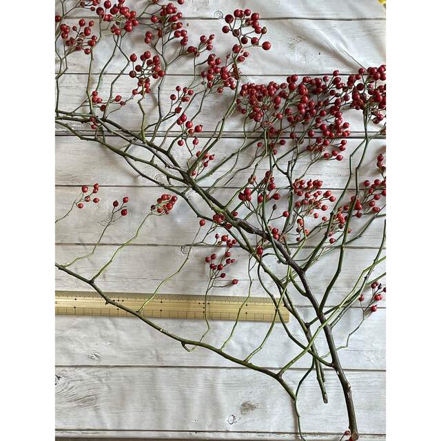 野薔薇の実‼️大きな枝ごと‼️４本‼️ ハンドメイドのフラワー/ガーデン(ドライフラワー)の商品写真