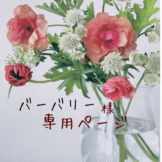 バーバリー様専用ページの通販 by チョコ's shop|ラクマ