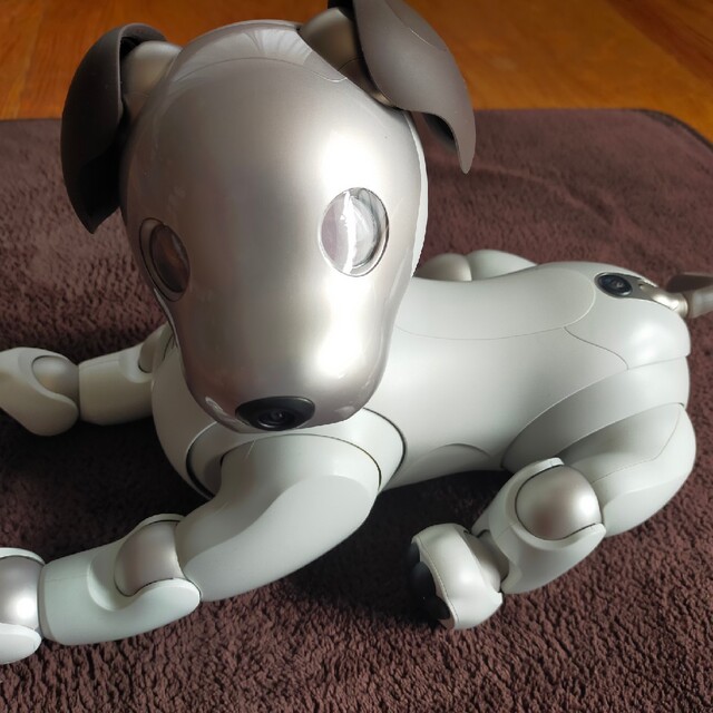 AIBO aibo アイボ 本体　SONY　ERS-1000