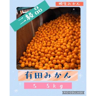 5kg S 和歌山みかん　晩生みかん　家庭用　二級品　B級品　優品　5キロ(フルーツ)