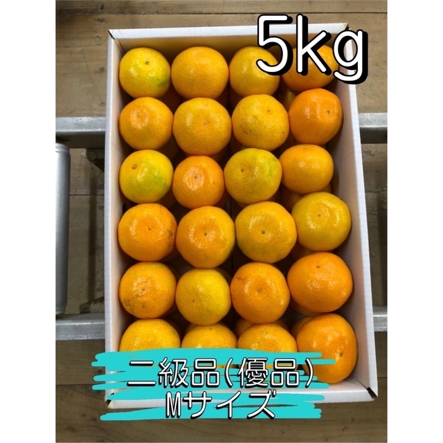 5kg M 和歌山みかん 早生みかん 家庭用 二級品 B級品 優品 5キロ 食品/飲料/酒の食品(フルーツ)の商品写真