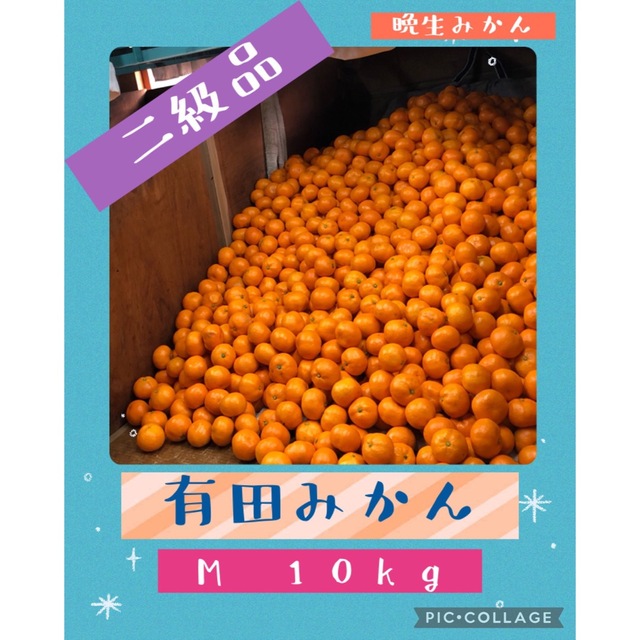 10kg M 和歌山みかん　晩生みかん　二級品　B級品　優品　家庭用　10キロ 食品/飲料/酒の食品(フルーツ)の商品写真