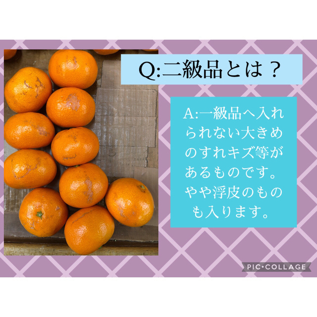 10kg M 和歌山みかん　晩生みかん　二級品　B級品　優品　家庭用　10キロ 食品/飲料/酒の食品(フルーツ)の商品写真