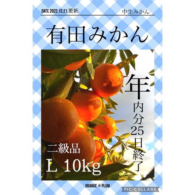 10kg L 和歌山みかん　中生みかん　二級品　B級品　優品　家庭用　10キロ 食品/飲料/酒の食品(フルーツ)の商品写真