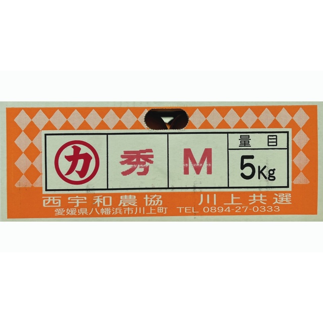 うまうまみかん！！愛媛県産【風】川上蜜柑 秀品 Mサイズ 5kg！ 食品/飲料/酒の食品(フルーツ)の商品写真