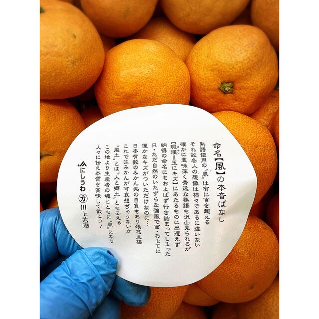 うまうまみかん!!愛媛県産【風】川上蜜柑 秀品 Mサイズ 5kg! | clipa.md