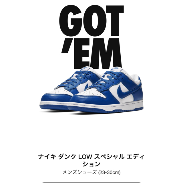 Nike Dunk Low SP Varsity Royal​  28cmメンズ