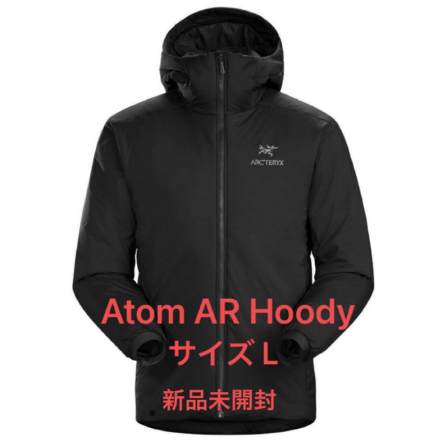 39TERYXのARCARC''TERYX アークテリクス Atom アトム AR HOODY